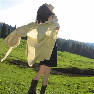 生人勿进(美版)